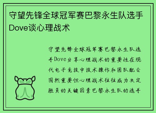 守望先锋全球冠军赛巴黎永生队选手Dove谈心理战术