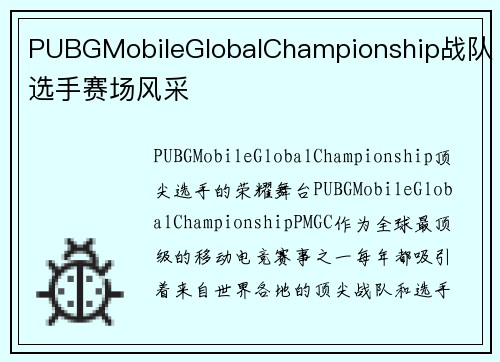 PUBGMobileGlobalChampionship战队选手赛场风采