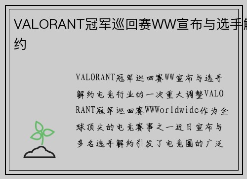 VALORANT冠军巡回赛WW宣布与选手解约