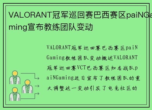 VALORANT冠军巡回赛巴西赛区paiNGaming宣布教练团队变动